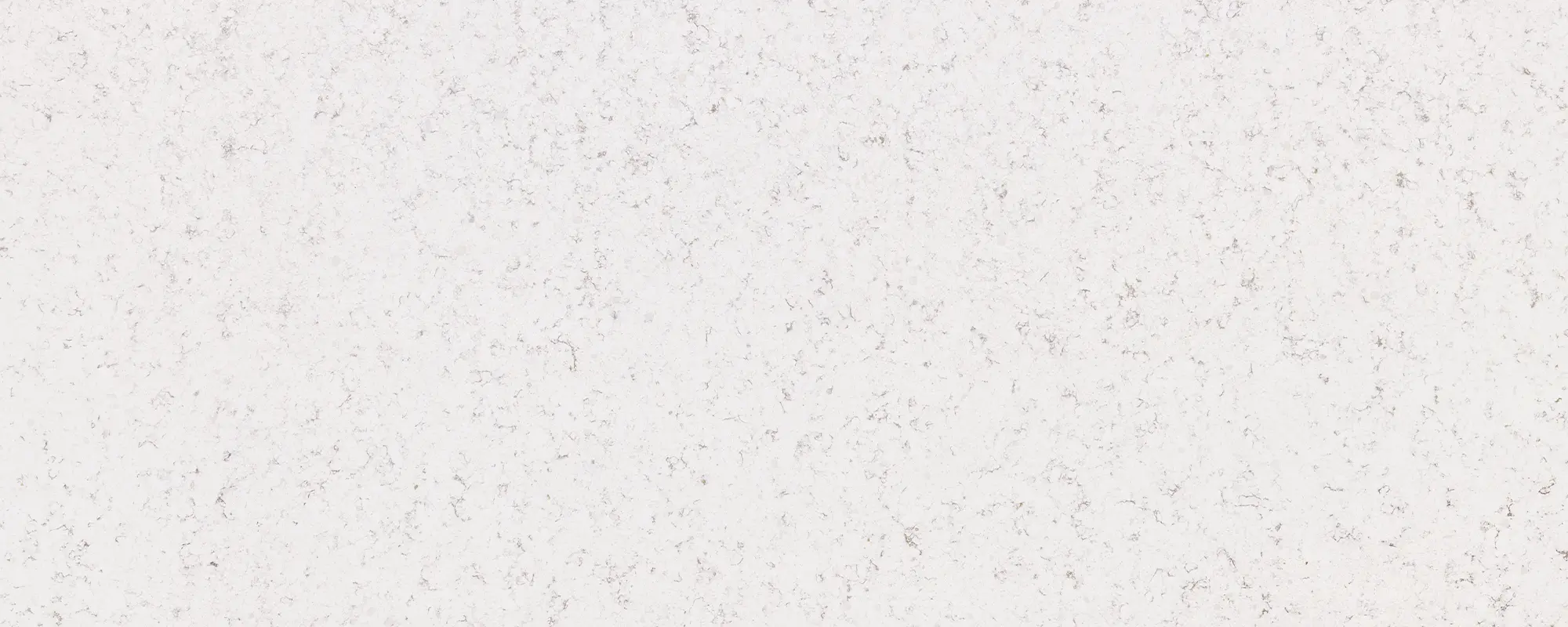 Belenco Daphne Crack